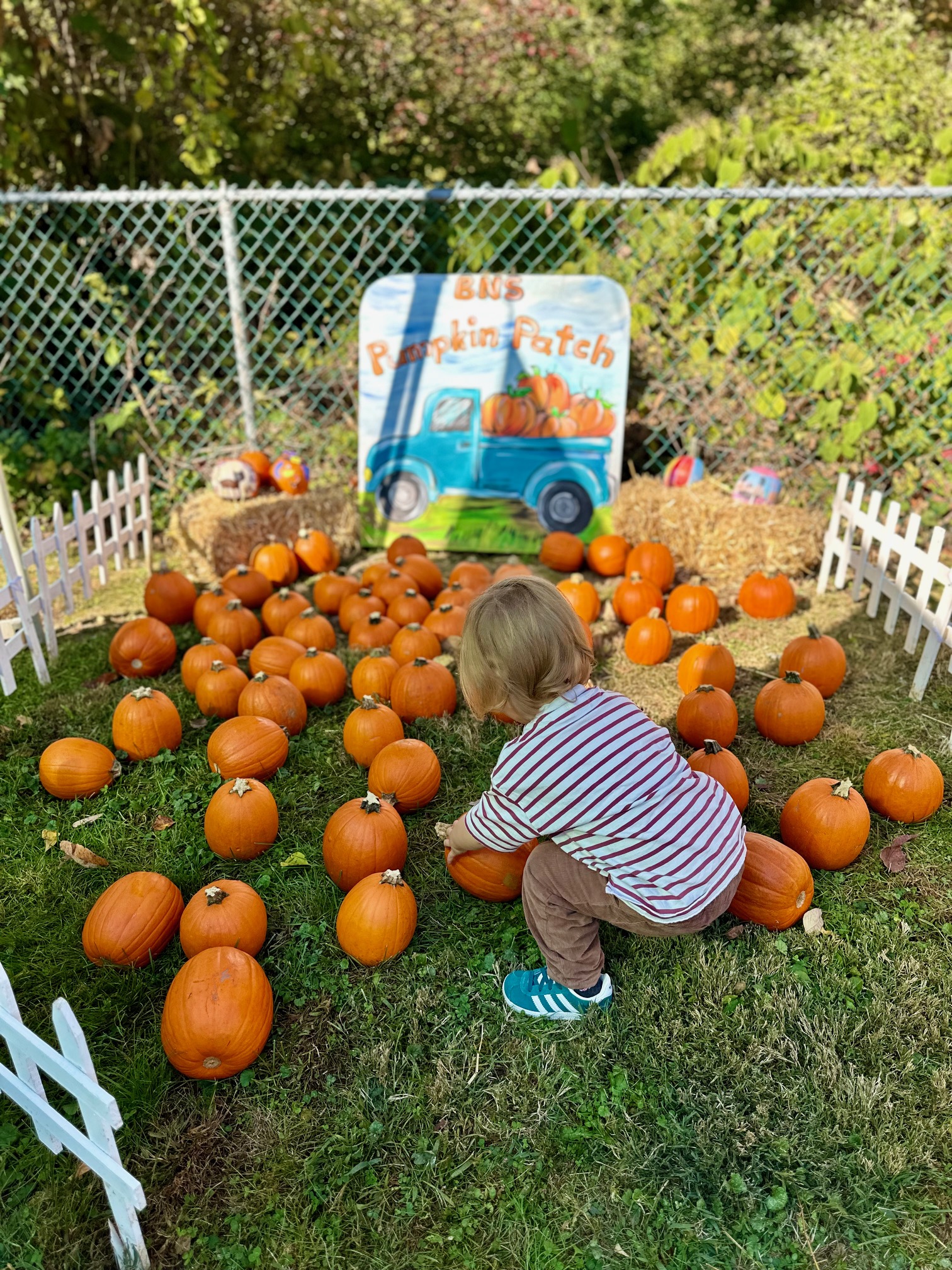 BNS families at the Fall Festival